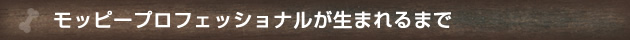 モッピープロフェッショナルが生まれるまで