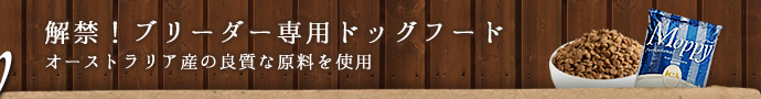 解禁！ブリーダー専用ドッグフード オーストラリア産の良質な原料を使用