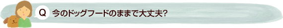 今のドッグフードのままで大丈夫？