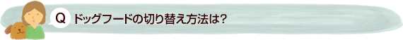 ドッグフードの切り替え方法は？