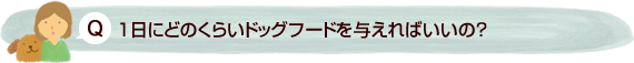 1日にどのくらいドッグフードを与えればいいの？