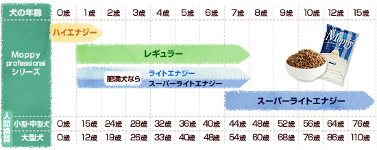 ライフステージ表