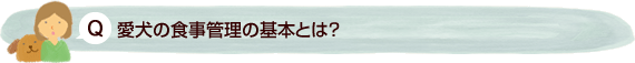愛犬の食事管理の基本とは？