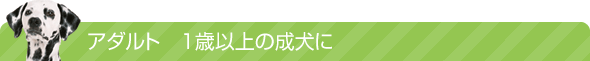 アダルト　1歳以上の成犬に