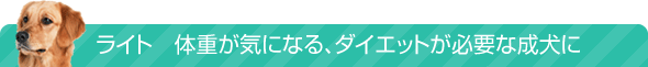 ライト　体重が気になる、ダイエットが必要な成犬に