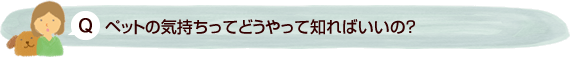 ペットの気持ちってどうやって知ればいいの？