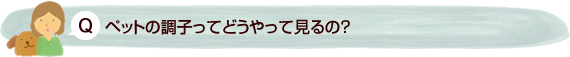 ペットの調子ってどうやって見るの？