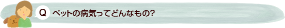 ペットの病気ってどんなもの？