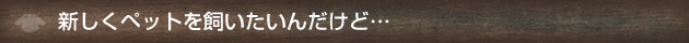 新しくペットを飼いたいんだけど…