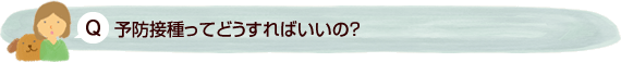 予防接種ってどうすればいいの？ 